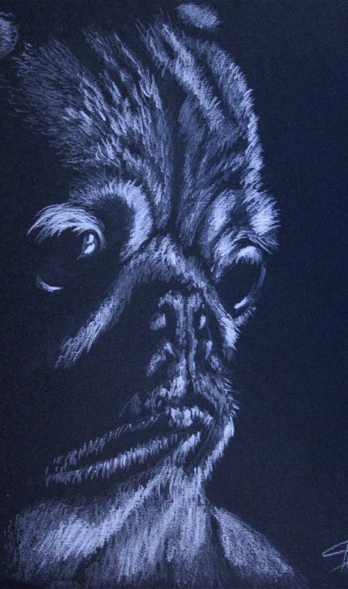 Pug. Portrait of a beloved dog by Salana Art Gallery