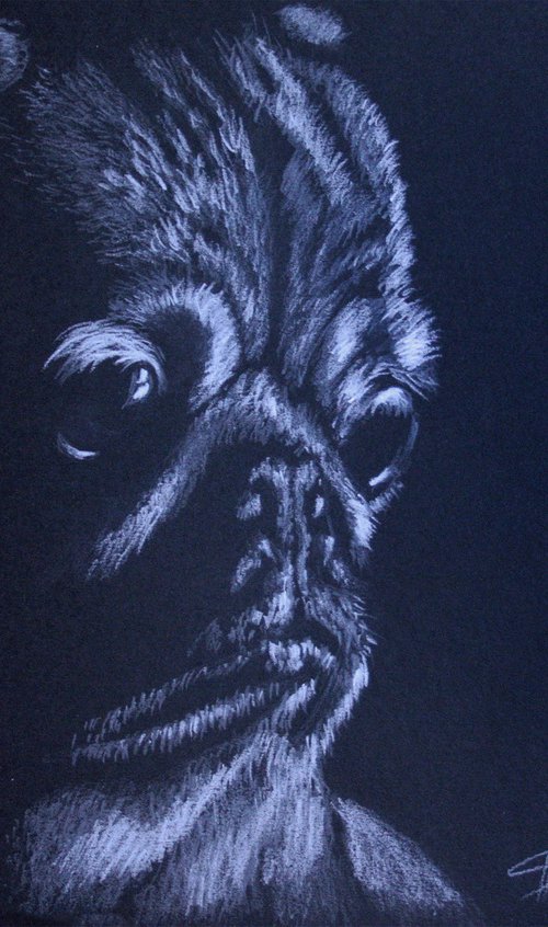 Pug. Portrait of a beloved dog by Salana Art