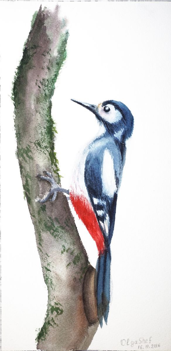 Woodpecker art ORIGINAL WATERCOLOR by Olga Shefranov (Tchefranova)