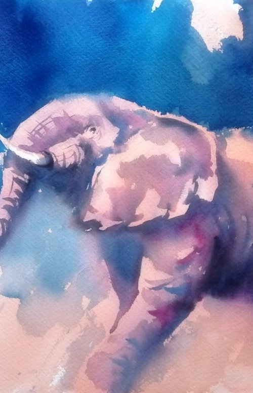 elephant 22 by Giorgio Gosti