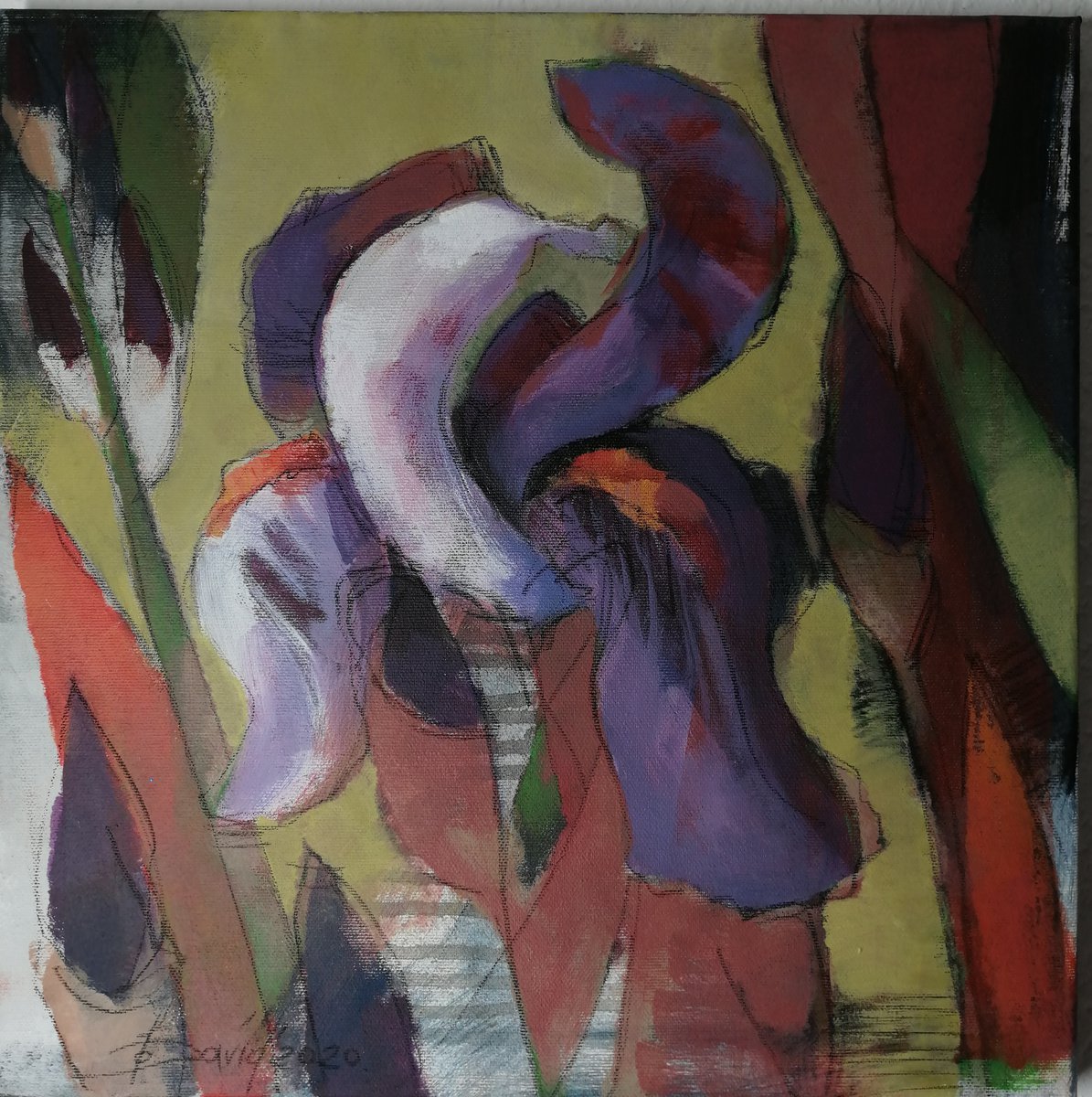 Impressionistic Botanical Acrylic Painting By Olga David, 16 X 16", Iris Blossom. Flower Art, Original Artwork