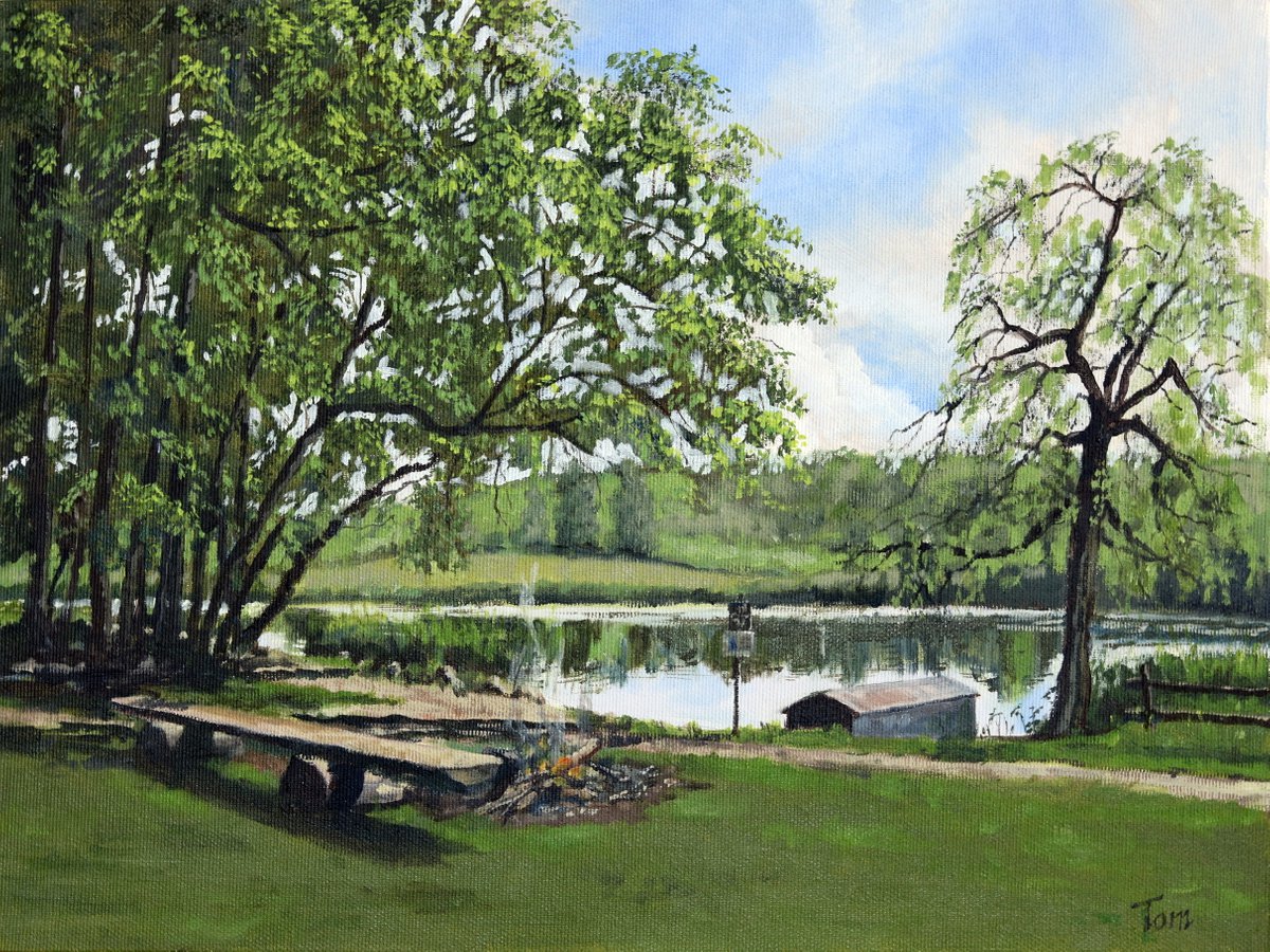 Horgener Bergweiher. The pond at Horgenberg. by Tom Clay