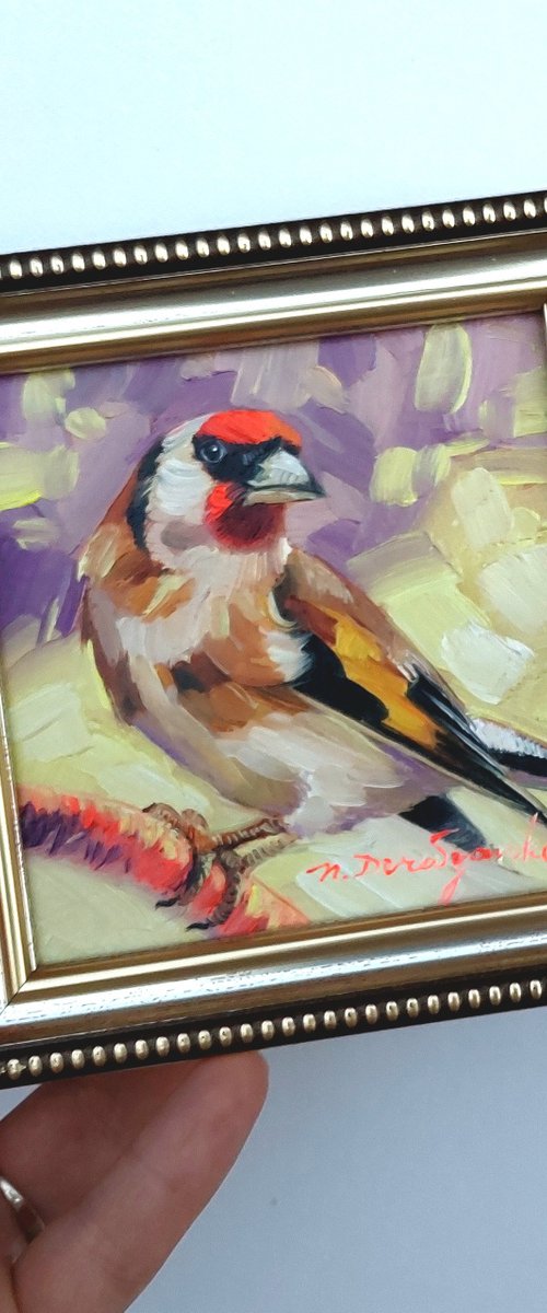 Goldfinch bird by Nataly Derevyanko
