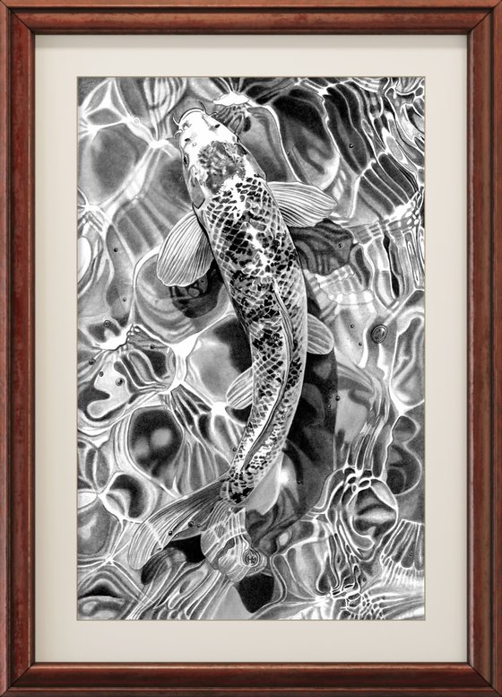 Koi Carp Pencil Drawing
