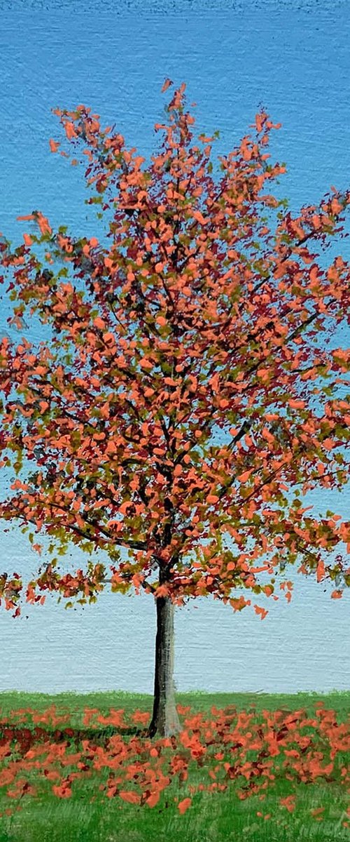 Maple Tree II by Nigel Wood