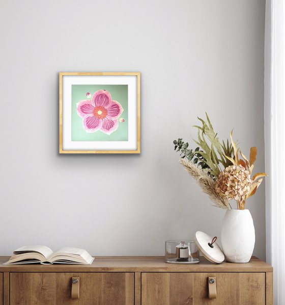 Japanese Anemone