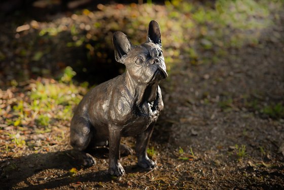 Sitting French Bulldog FB