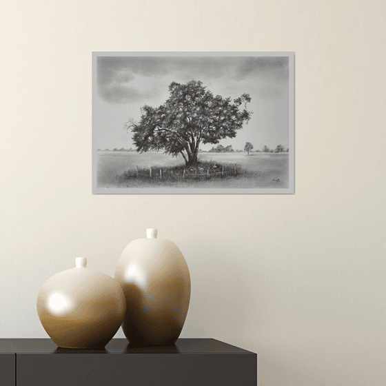 English Oak