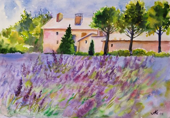 Provence