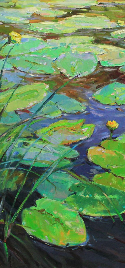 Water lilies pond by Alisa Onipchenko-Cherniakovska