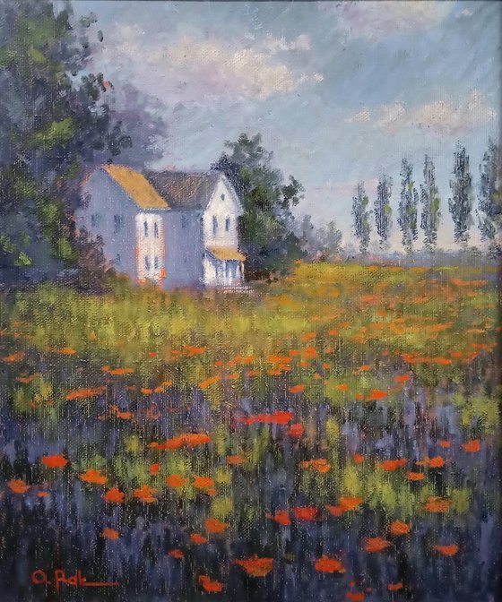 House in the province