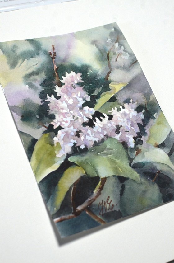 White lilac flowers