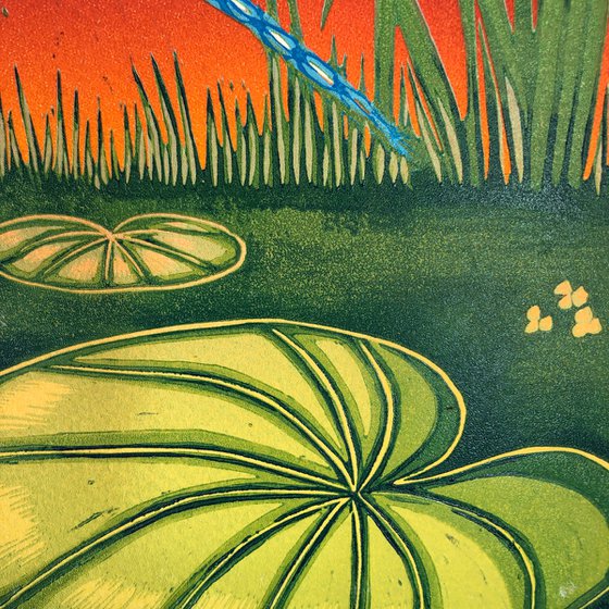 Dragonfly Sunset