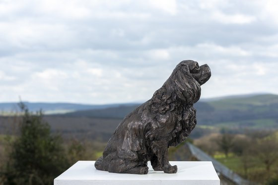 Sitting Cavalier Bronze Resin