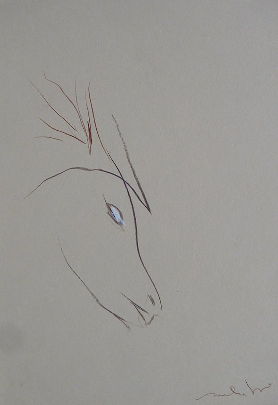 The Horse, 21x29 cm