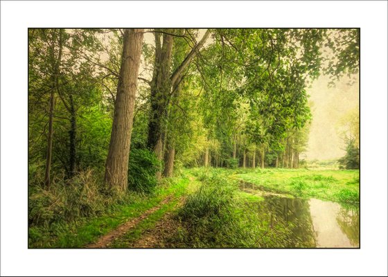 The Path by the River...