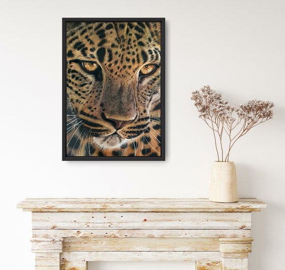 Leopard pastel drawing 'Focused' Pastel drawing by Silvia Frei | Artfinder