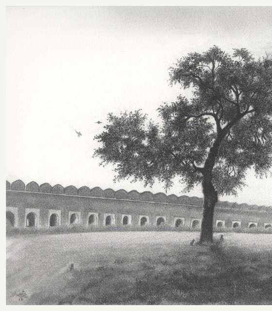 Indian Lilac Tree