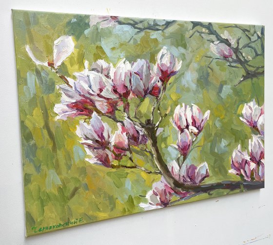 magnolia branch
