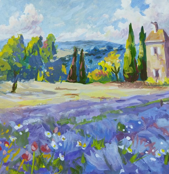 Provence. Lavender field