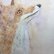 Mr. Fox by Sabrina’s Art