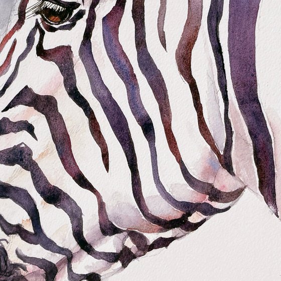 Zodiac_Zebra