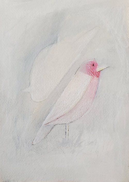 Bird by Mat JS Moore