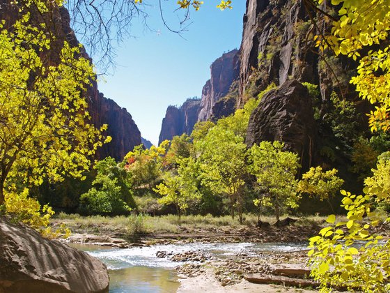 The Virgin River in Zion