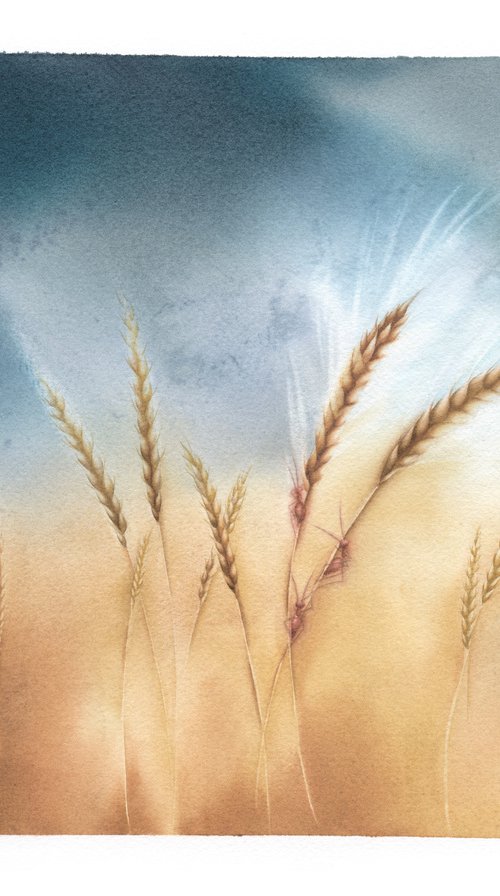 Yesterdays - Barley Field by ieva Janu