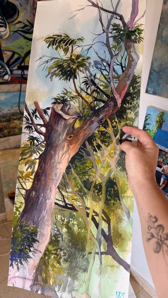 Light Between Branches