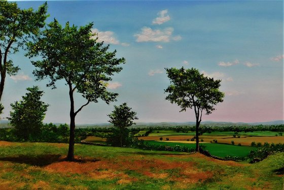 Cheshire Plains