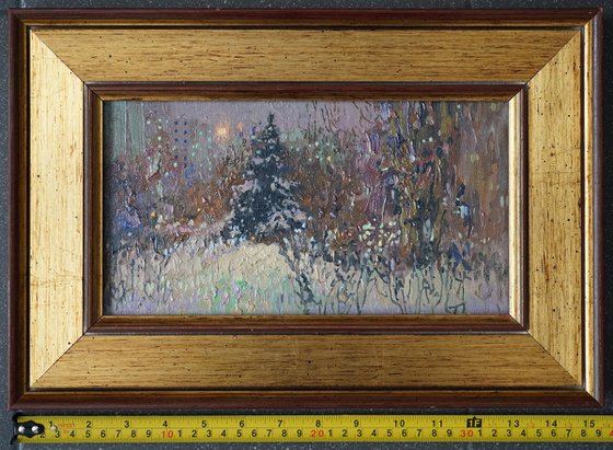 A spruce on a winter boulevard at night