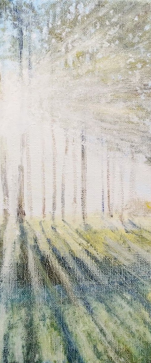 Morning rays 2 (60x50 cm) by Oleh Rak