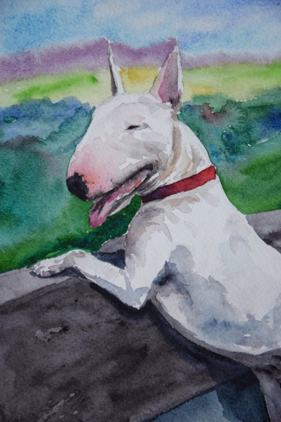 Bull Terrier watercolor painting, dog portrait, animalistic wall art