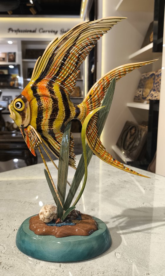 Coral Reef Angel