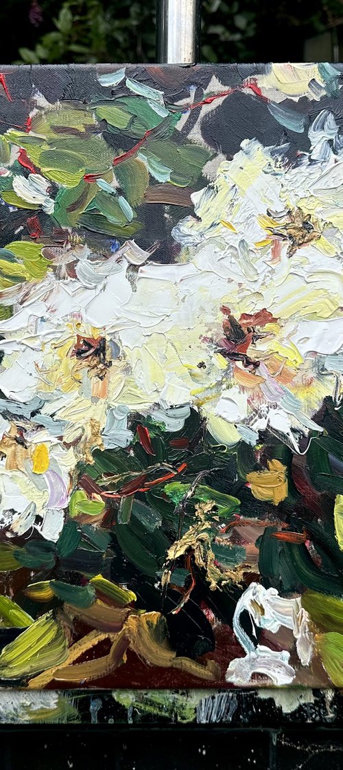 White roses. by Lilia Orlova-Holmes