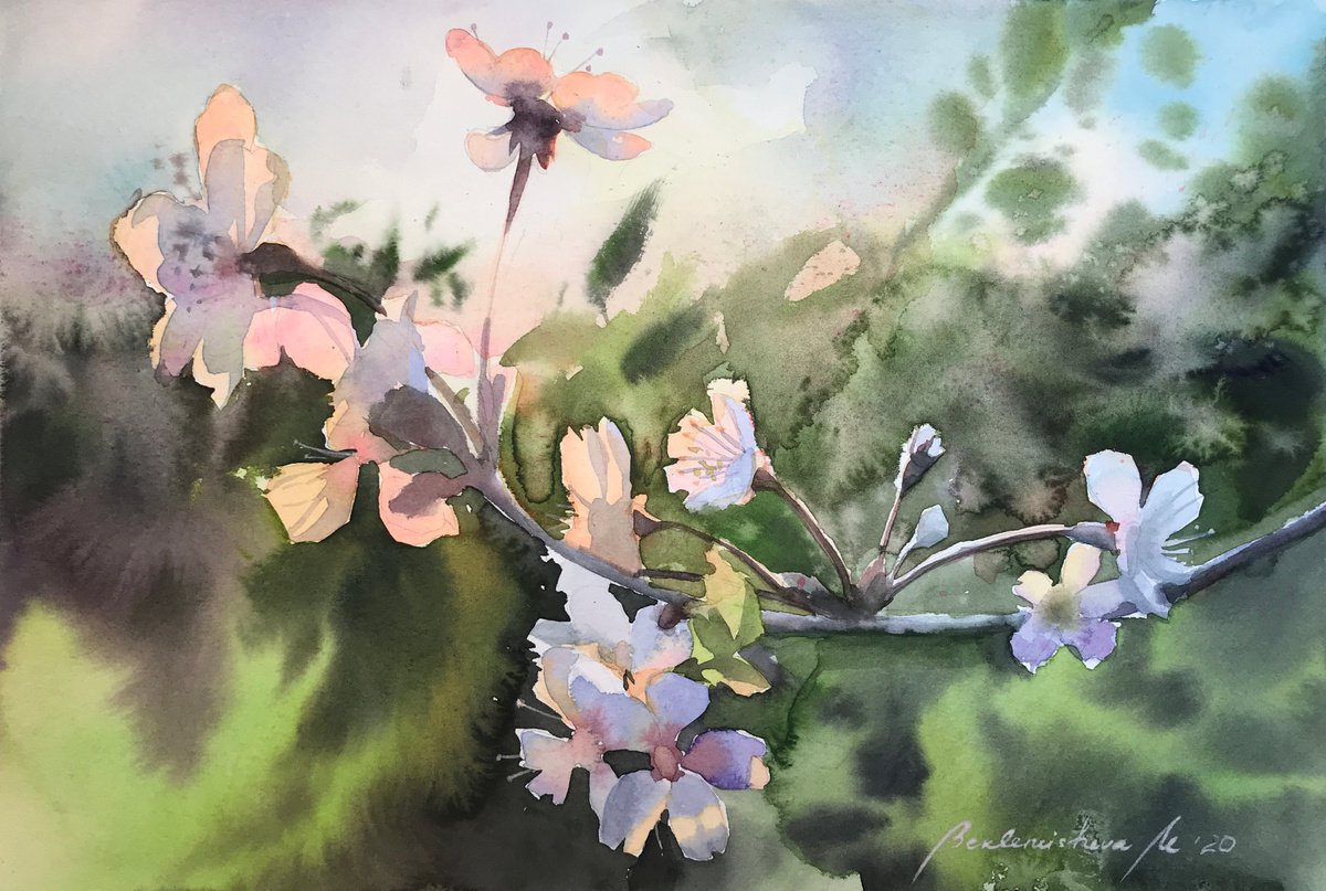 Apple blossom by Maria Beklemisheva