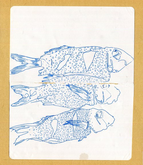 Blue Fish Sketch by Hannah Clark