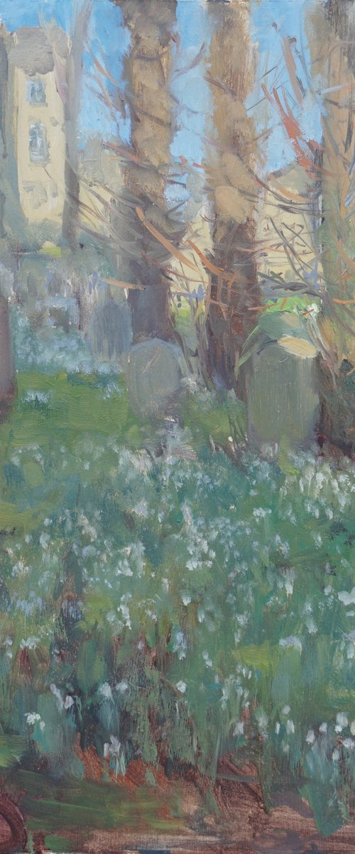 Snowdrops in the Shade, St John's, Burford by Alex James Long