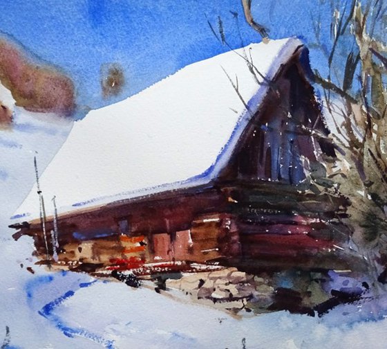 "Sunny yard"