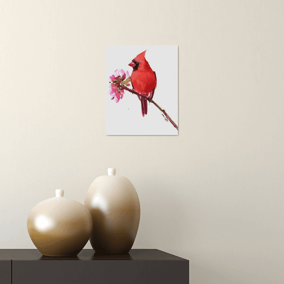 red cardinal bird