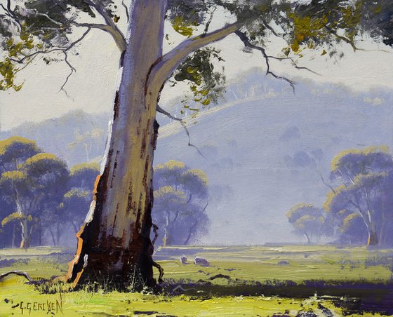 Australian Eucalyptus tree with sheep