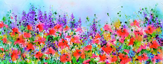 Wild Red Poppy, Poppies Field