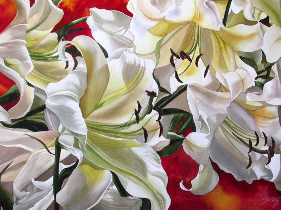 Glorious Lilies