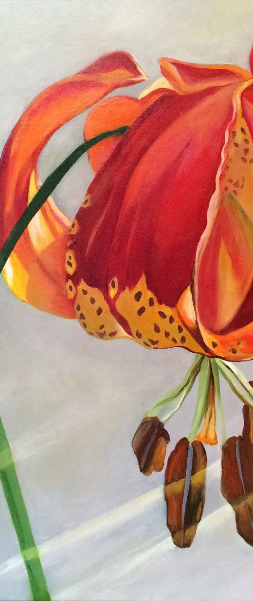 Moment in the Sun - Lily by Mary Chant