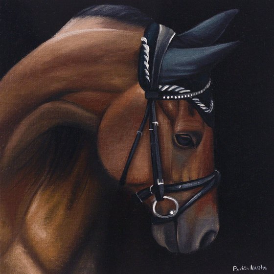 Horse Portrait 102