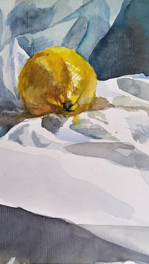 Lemon on white by Irina Bibik-Chkolian