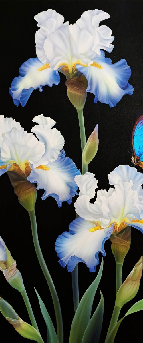 "Blue elegance", irises with butterfly by Anna Steshenko