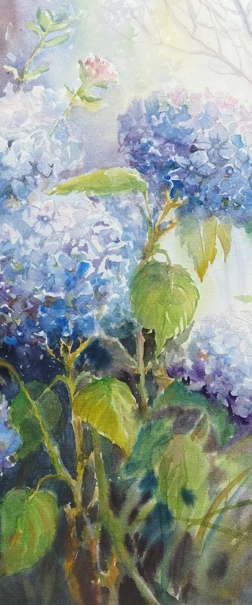 Blue Hydrangeas flowers by Ann Krasikova