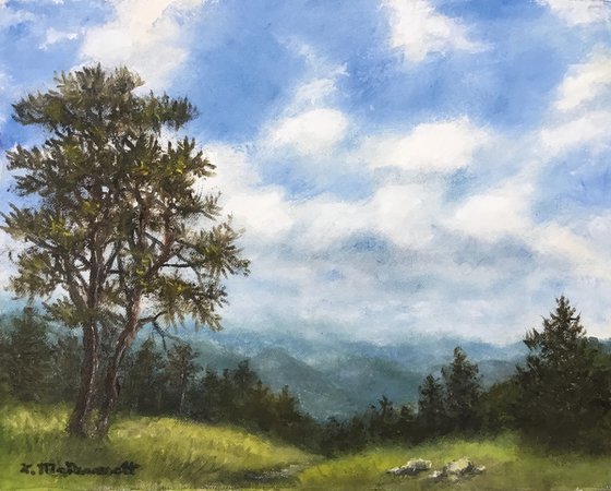 TREE TOP TRAIL oil 8X10 (SOLD)